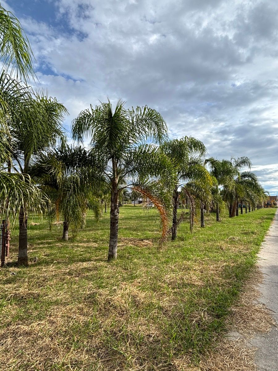 Terreno en venta Residencial los Jazmines, Ocotlán, Jalisco - foto 3