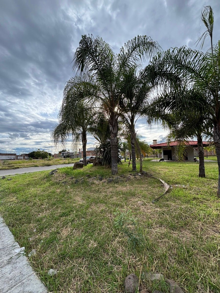Terreno en venta Residencial los Jazmines, Ocotlán, Jalisco - foto 4