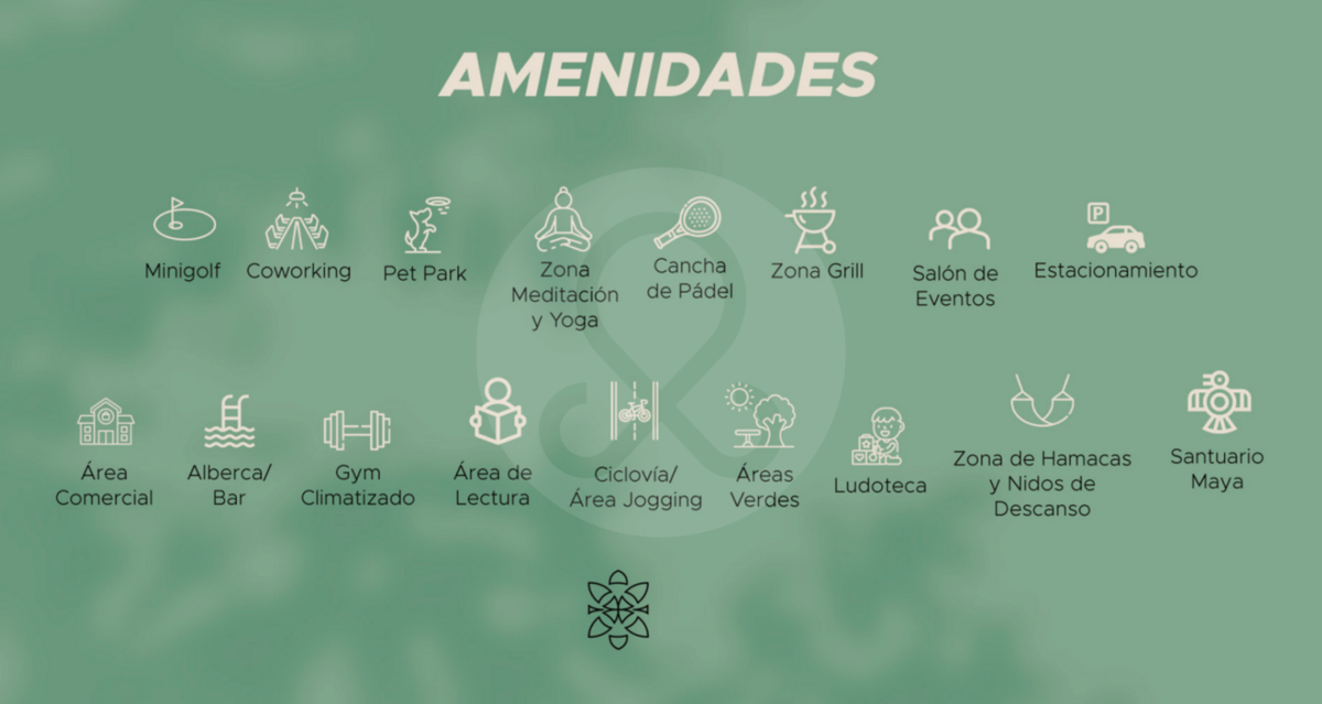 3 de 8