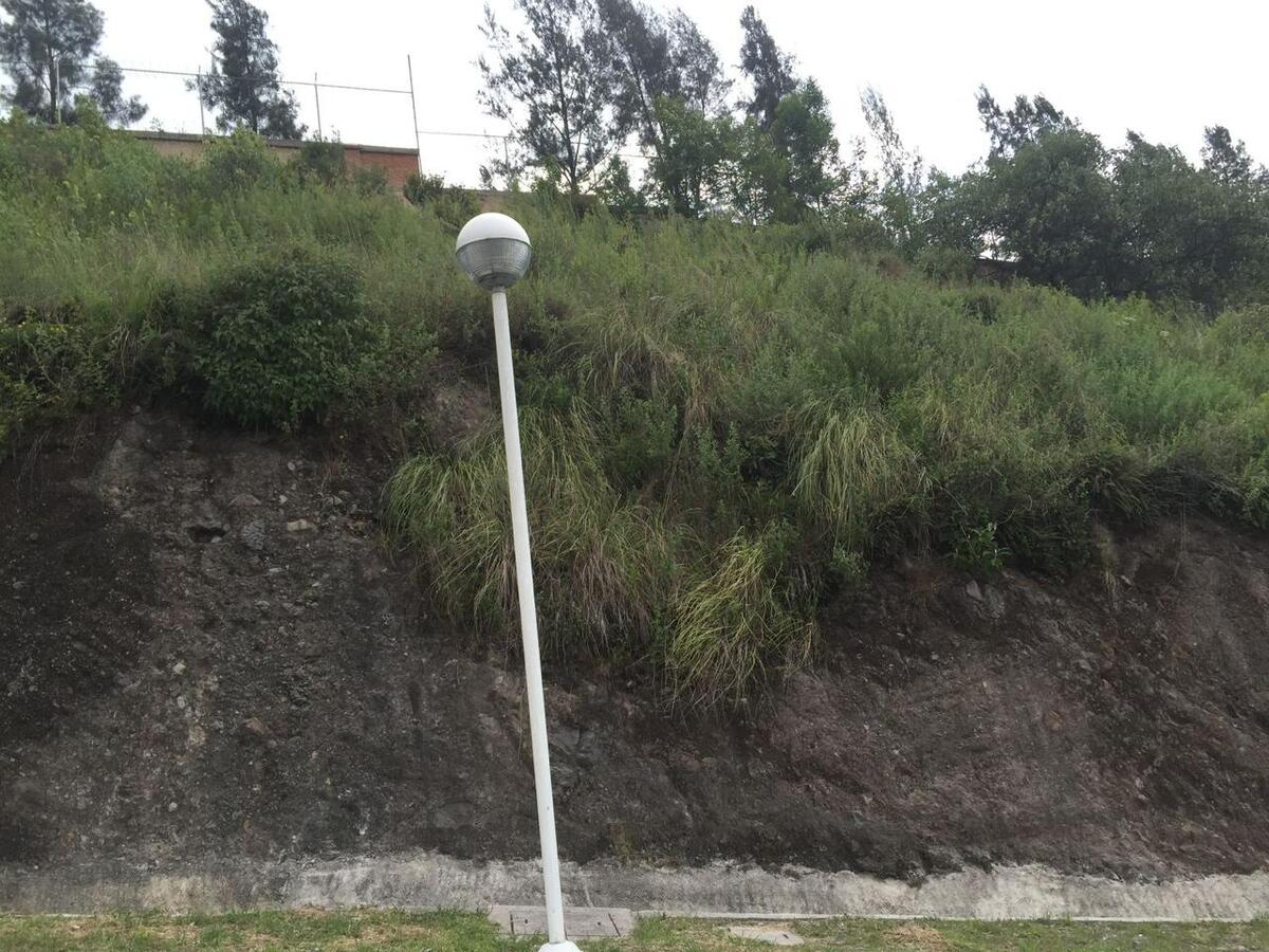11 de 26