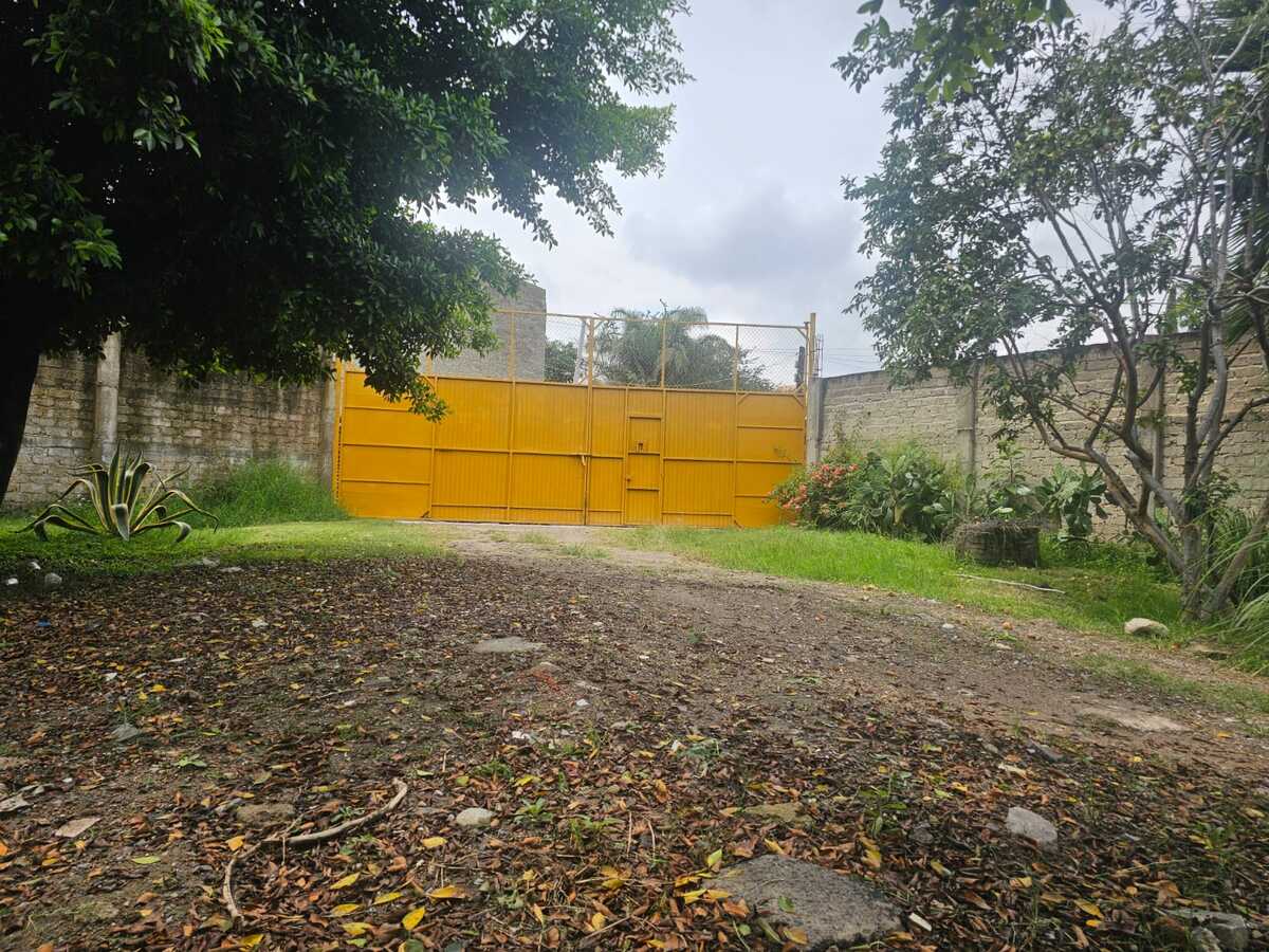 1 de 5