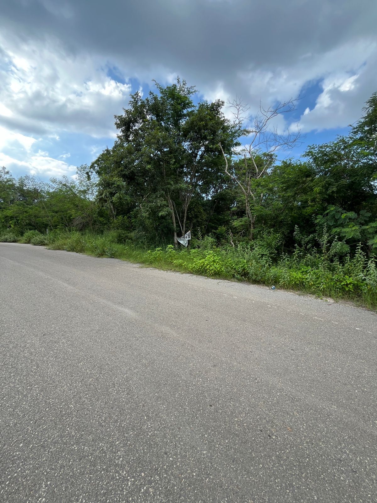 3 de 7
