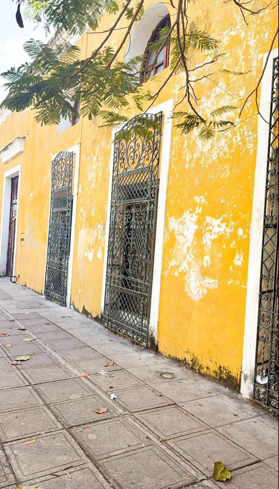 2 de 30