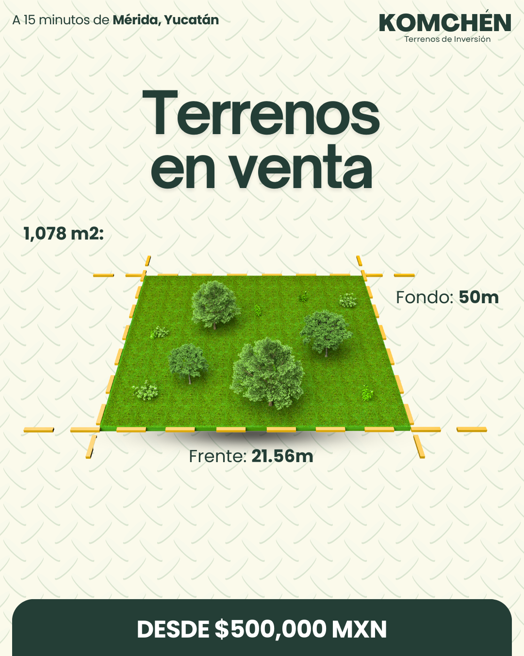 1 de 1