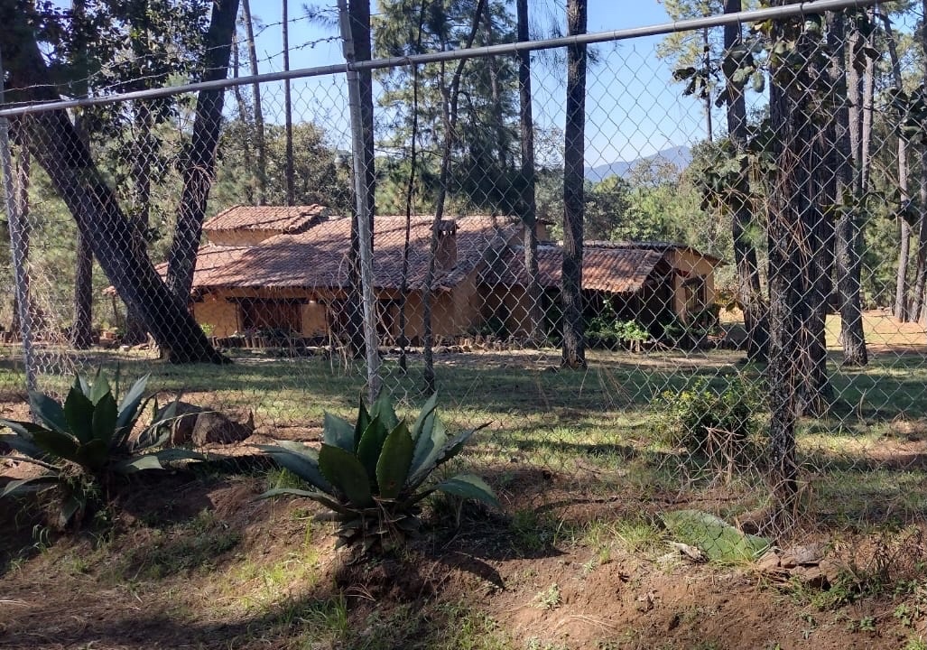 2 de 11