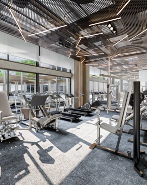 11 of 11: Gimnasio