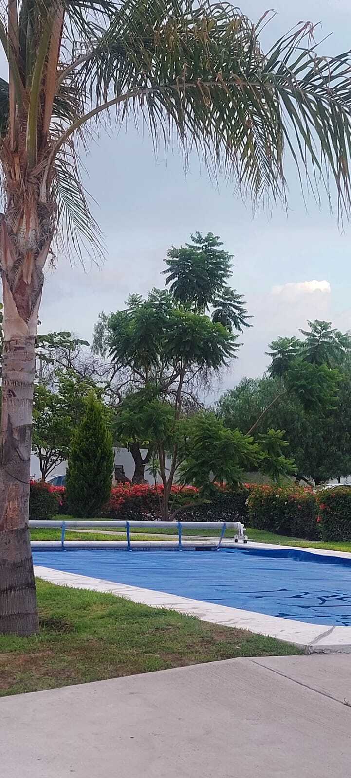 7 de 26