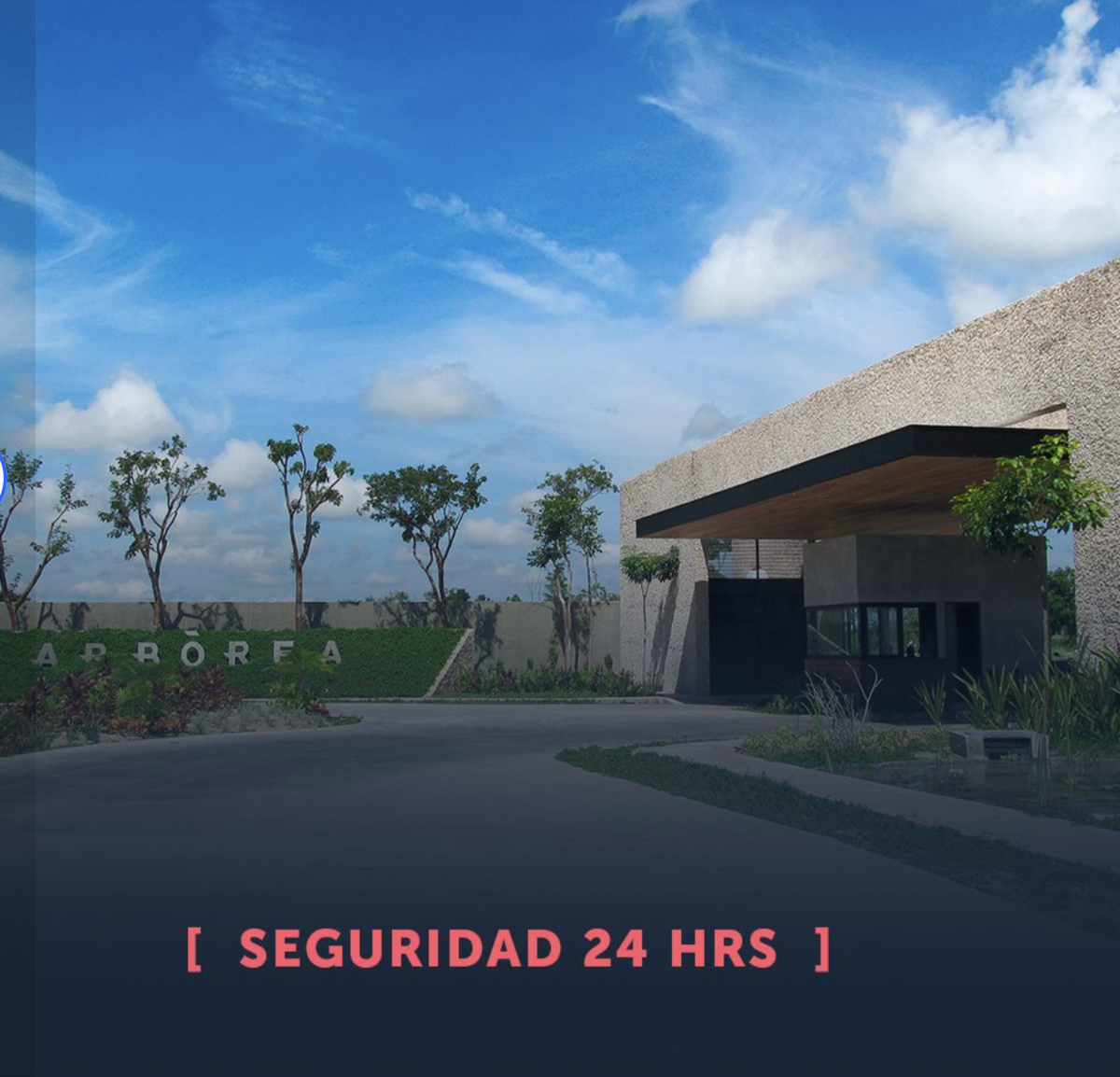 3 de 16