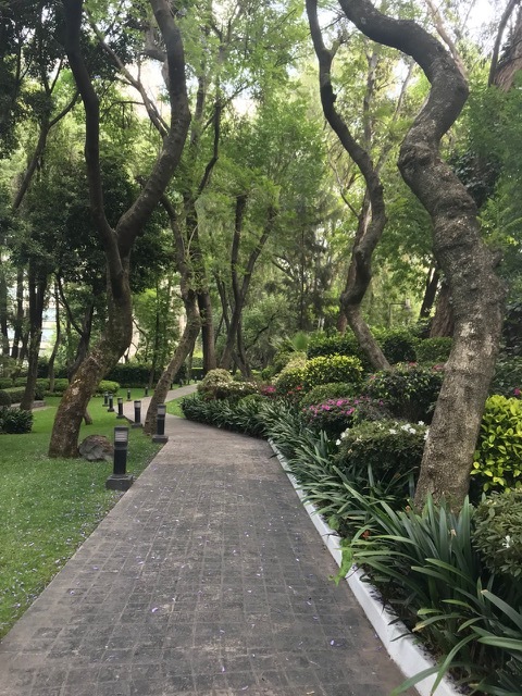 1 de 30