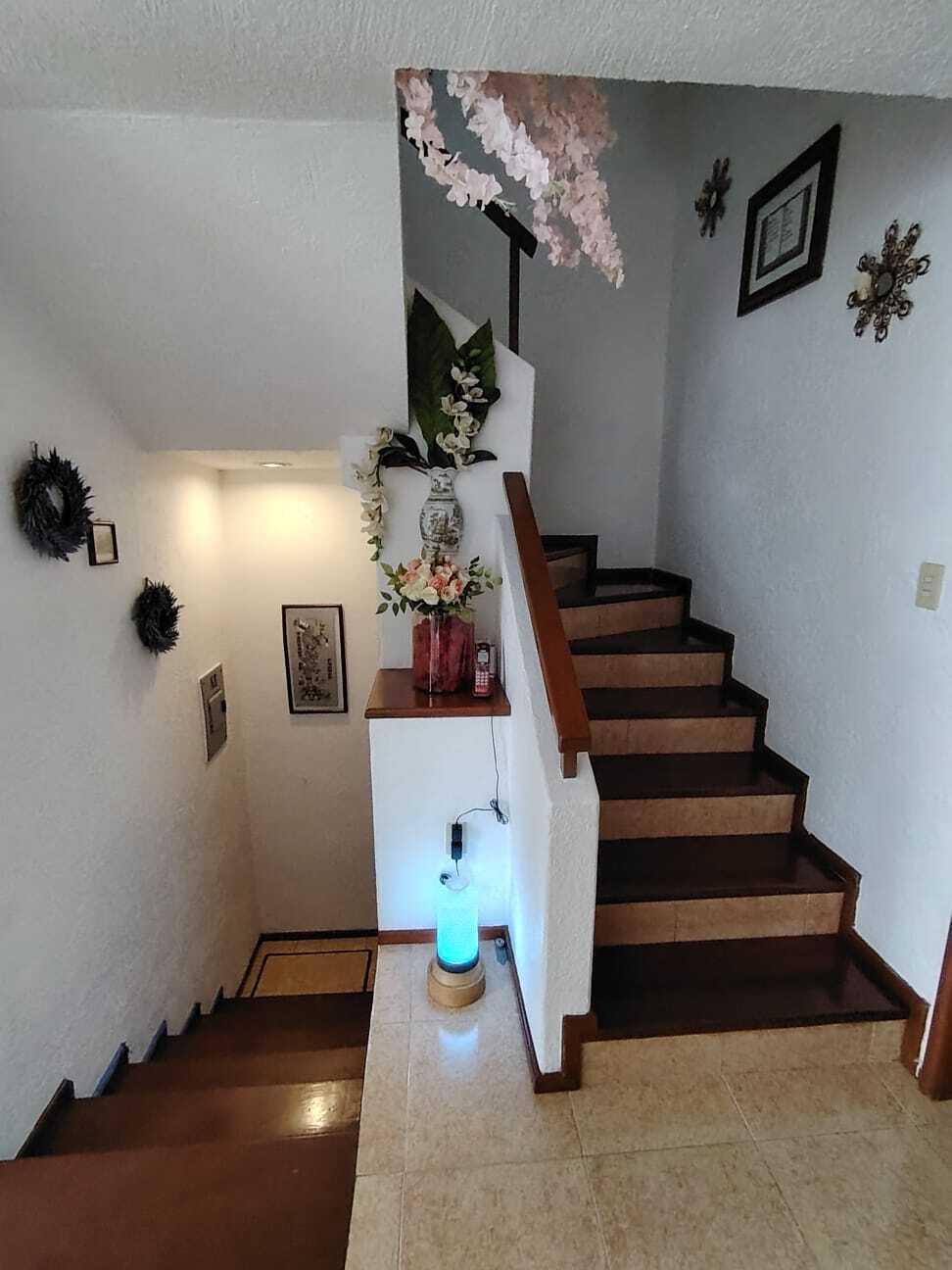 44 de 46