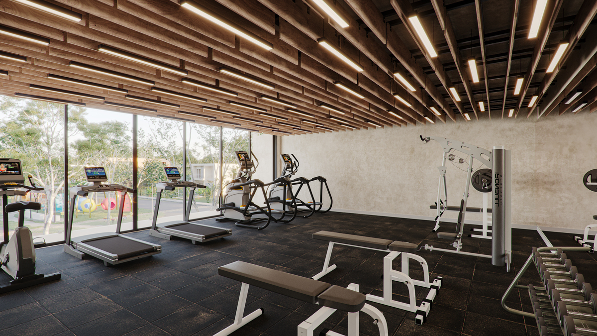 5 de 11: Gimnasio