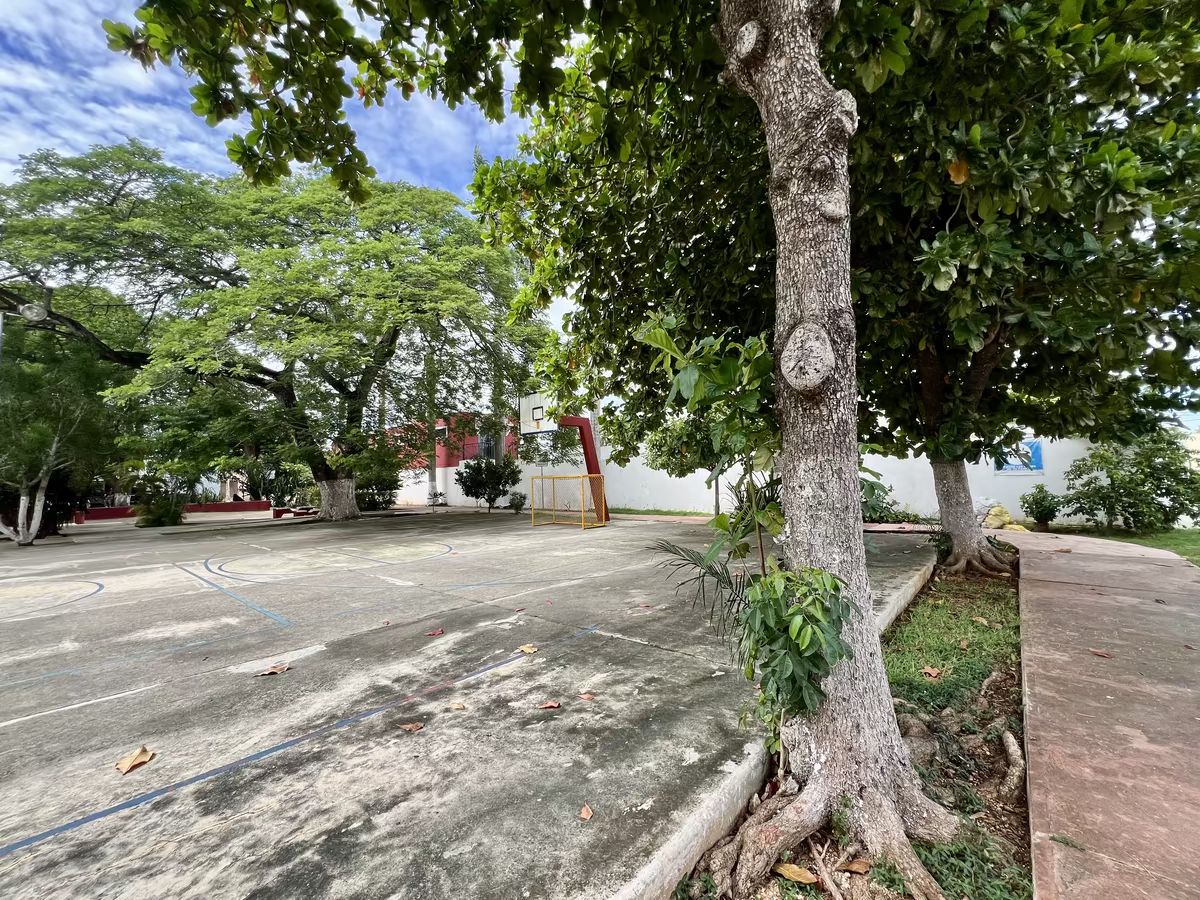 6 de 27