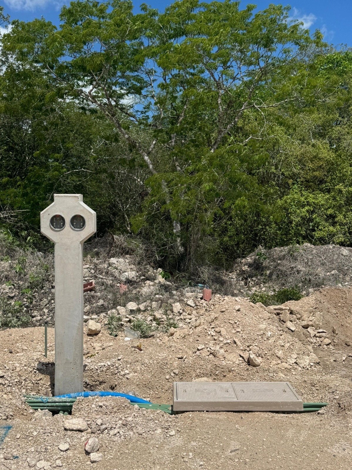 3 de 16