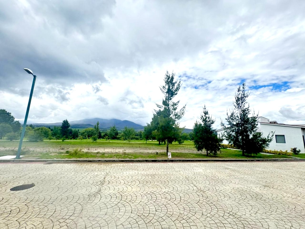 4 de 6: LOTE