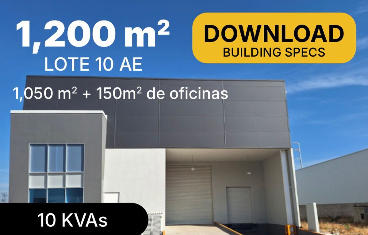 8 de 8