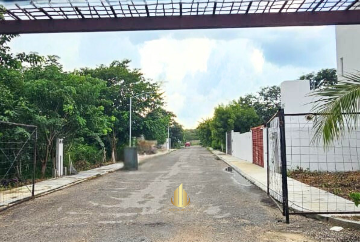 1 de 4