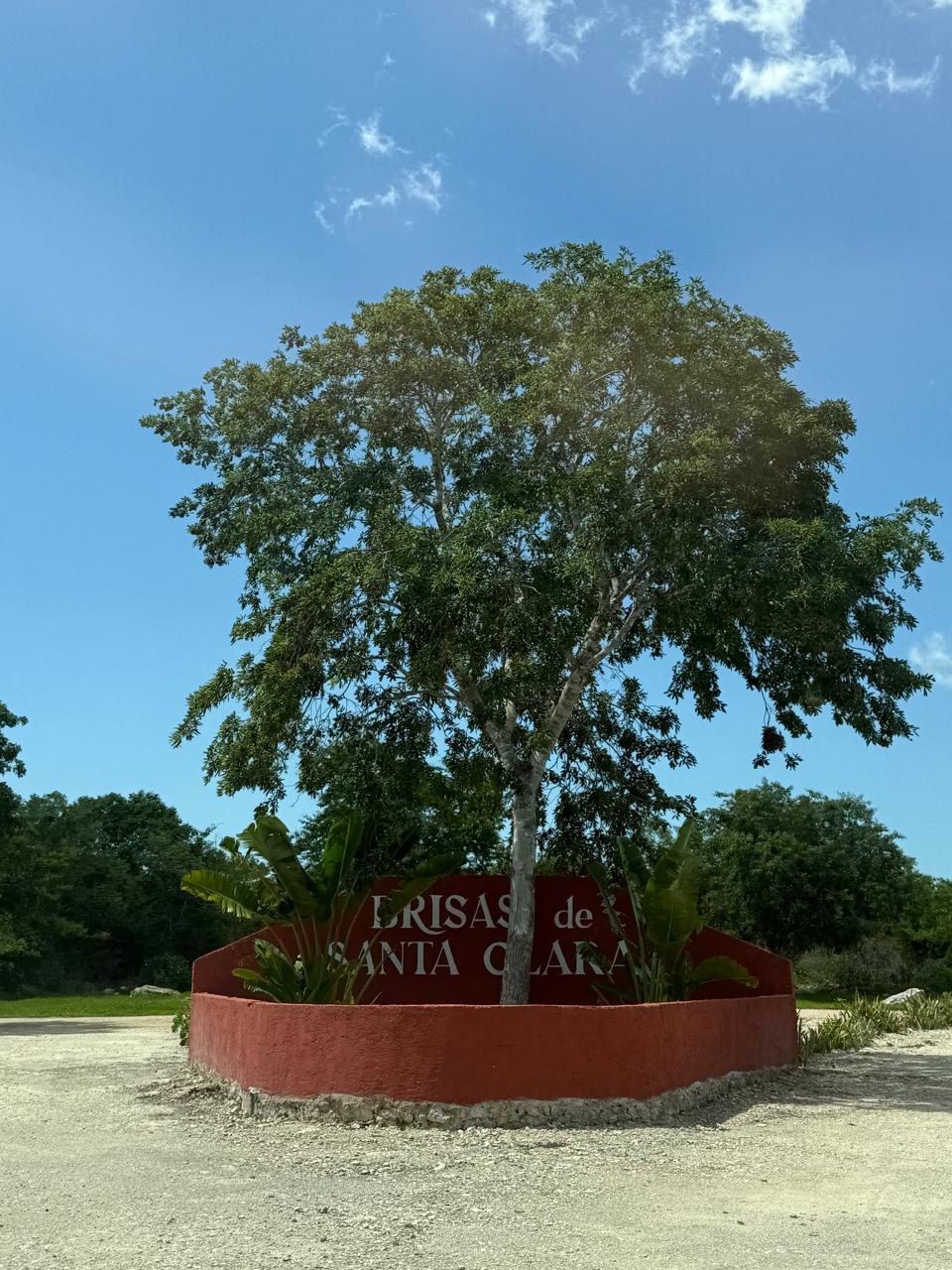 2 de 10