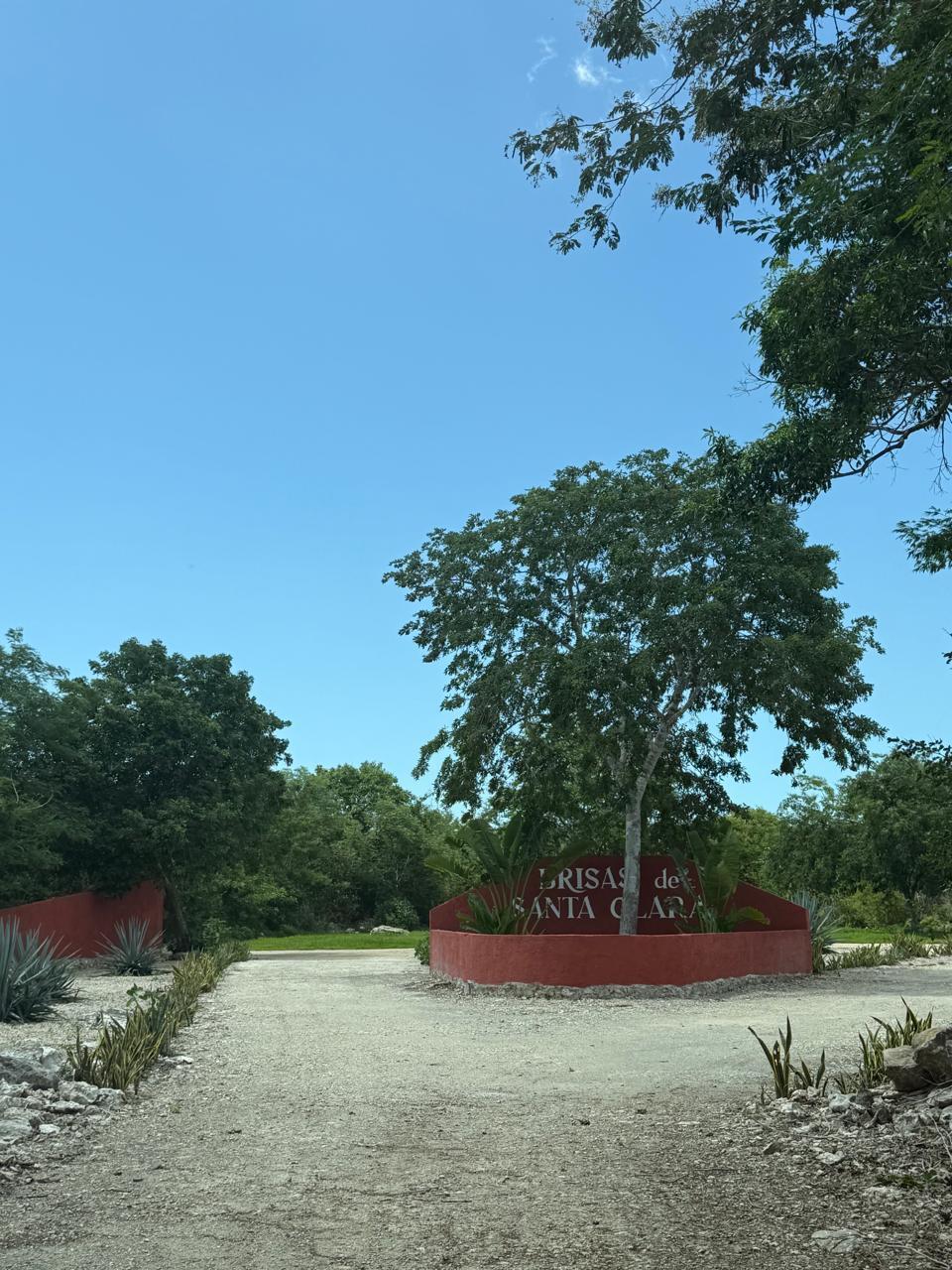 3 de 10