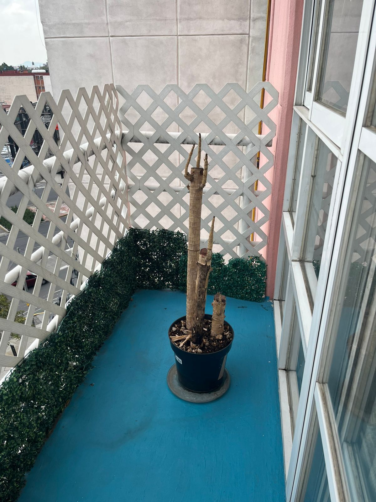 18 de 18