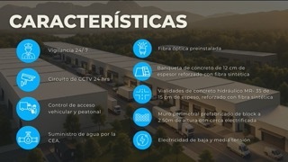 7 de 18
