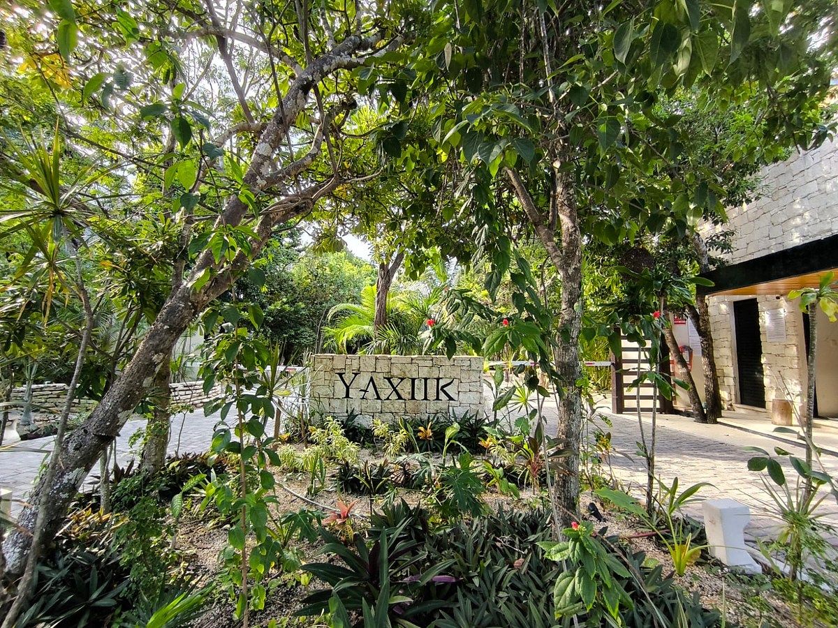 Casa en Aldea Zamá, Tulum, foto 47 de 49
