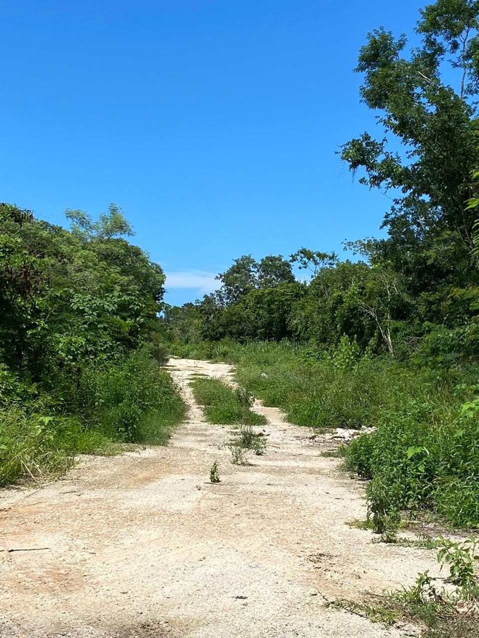 5 de 6