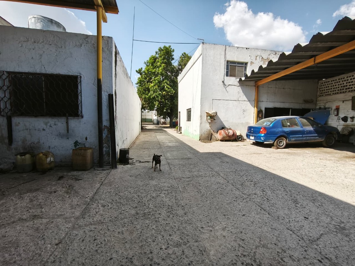 7 de 8