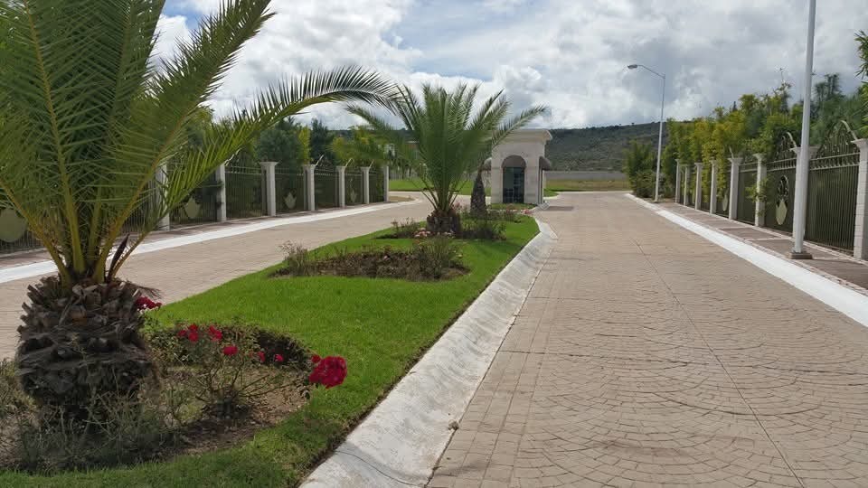 1 de 8