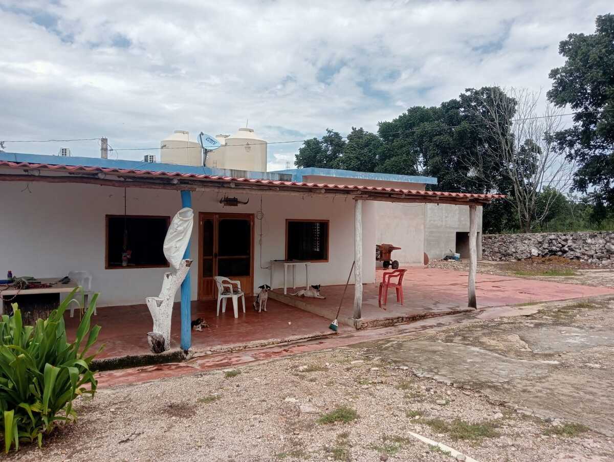 2 de 21
