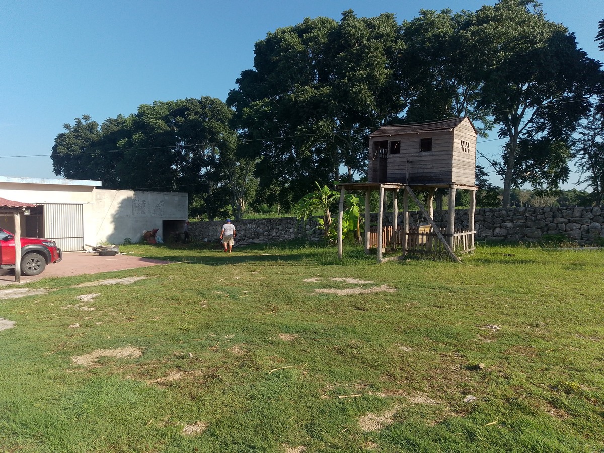 3 de 21