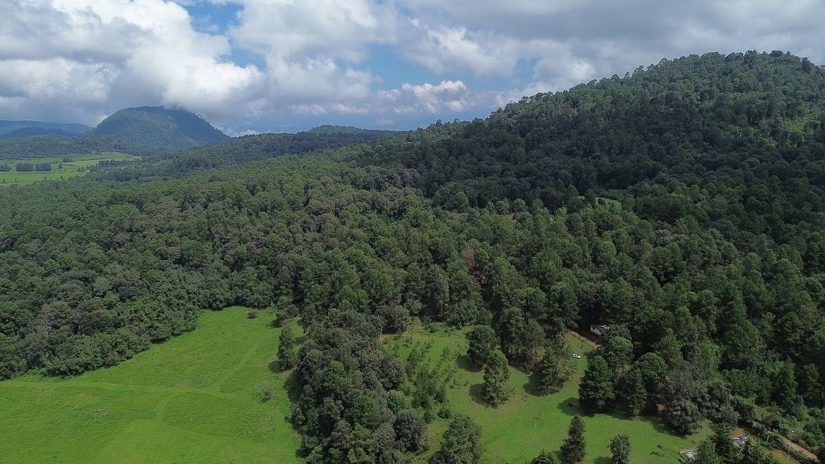 Lote em San José Potrerillos, Valle de Bravo, foto 12 de 14