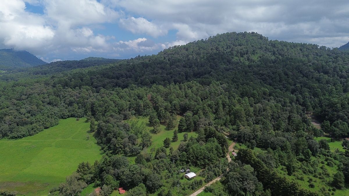 Lote em San José Potrerillos, Valle de Bravo, foto 13 de 14