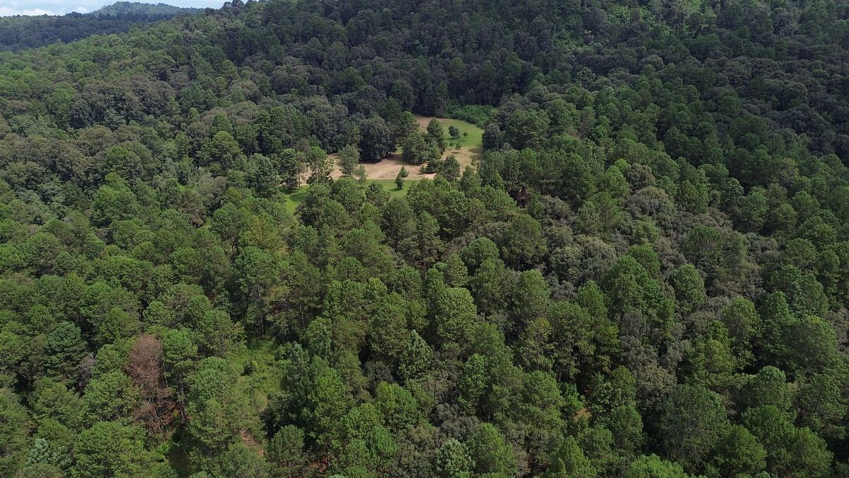 Lote em San José Potrerillos, Valle de Bravo, foto 14 de 14