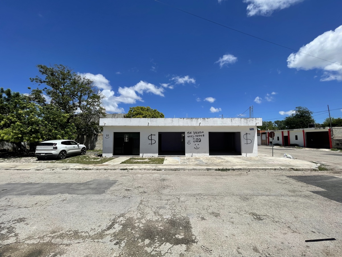 1 de 6