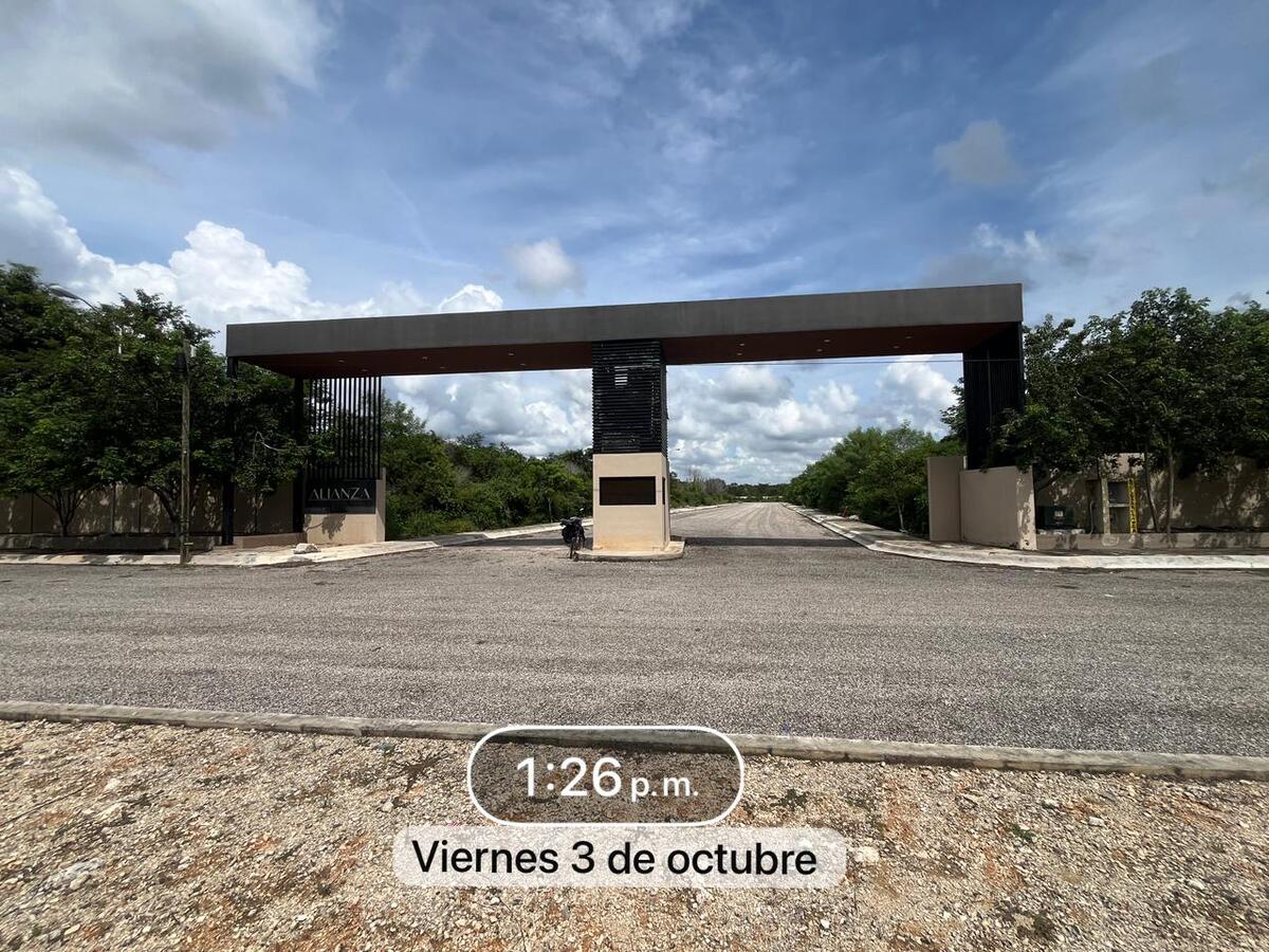 2 de 14