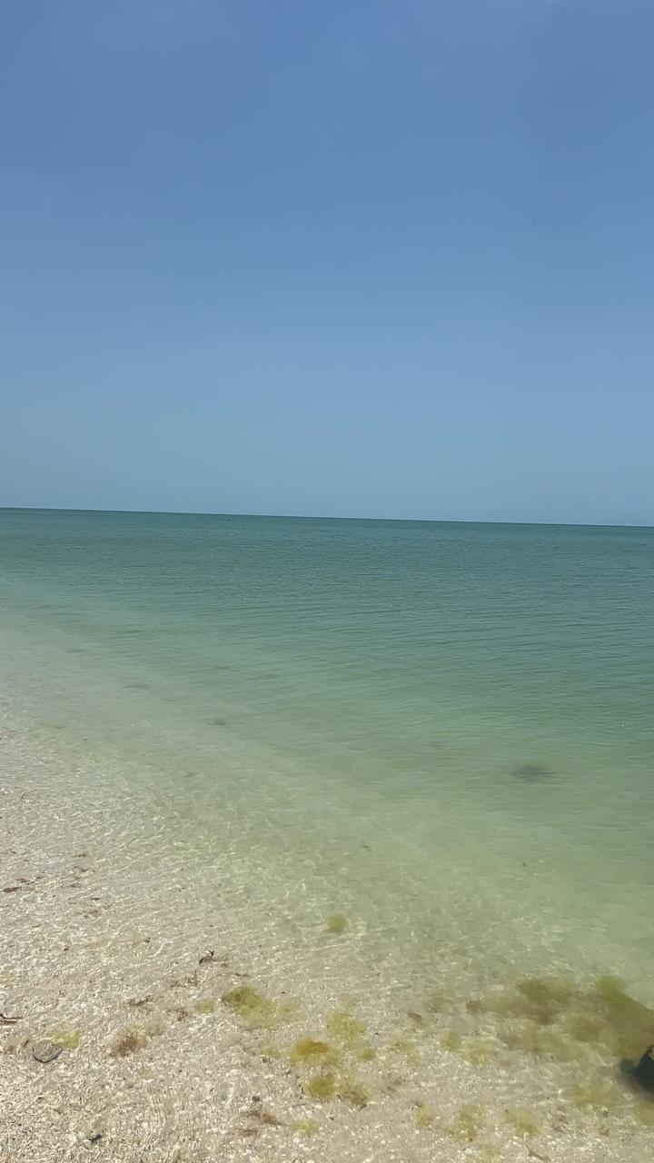 4 de 11