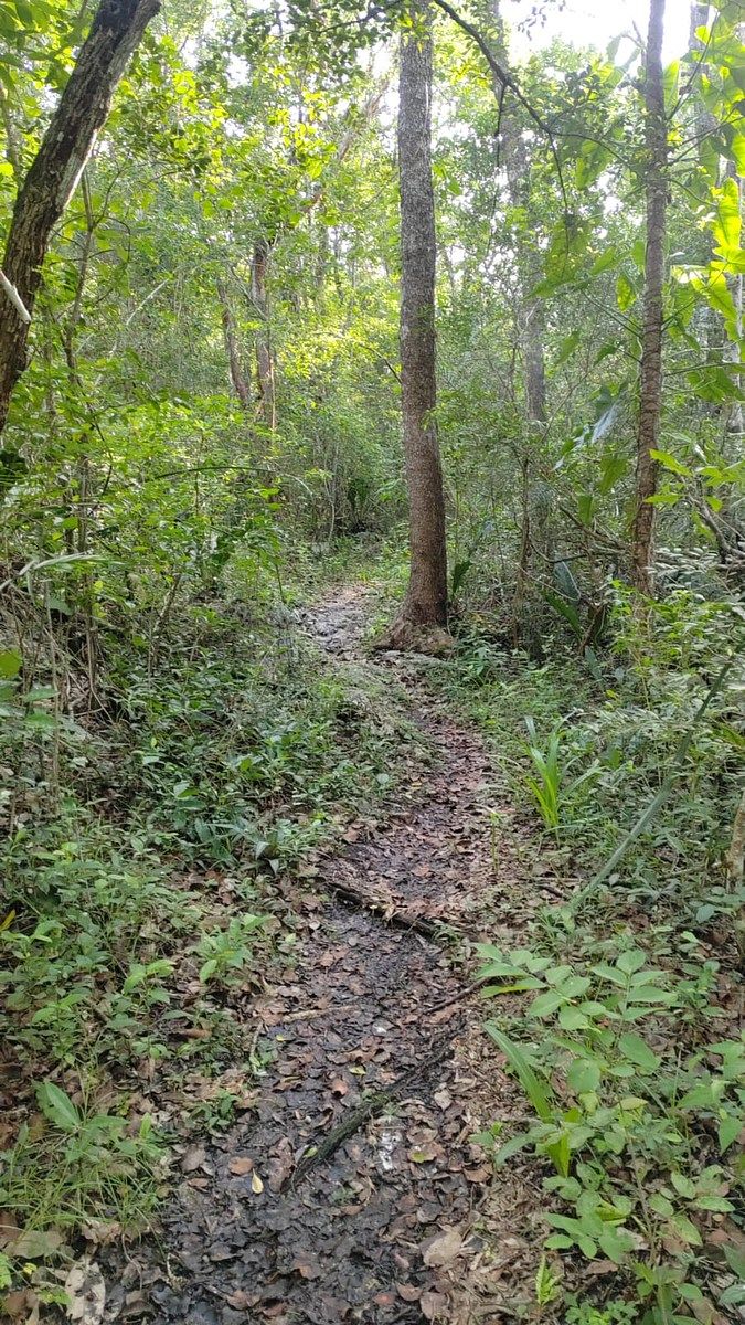 Lote em Tixcacalcupul, Tixcacalcupul, foto 19 de 20