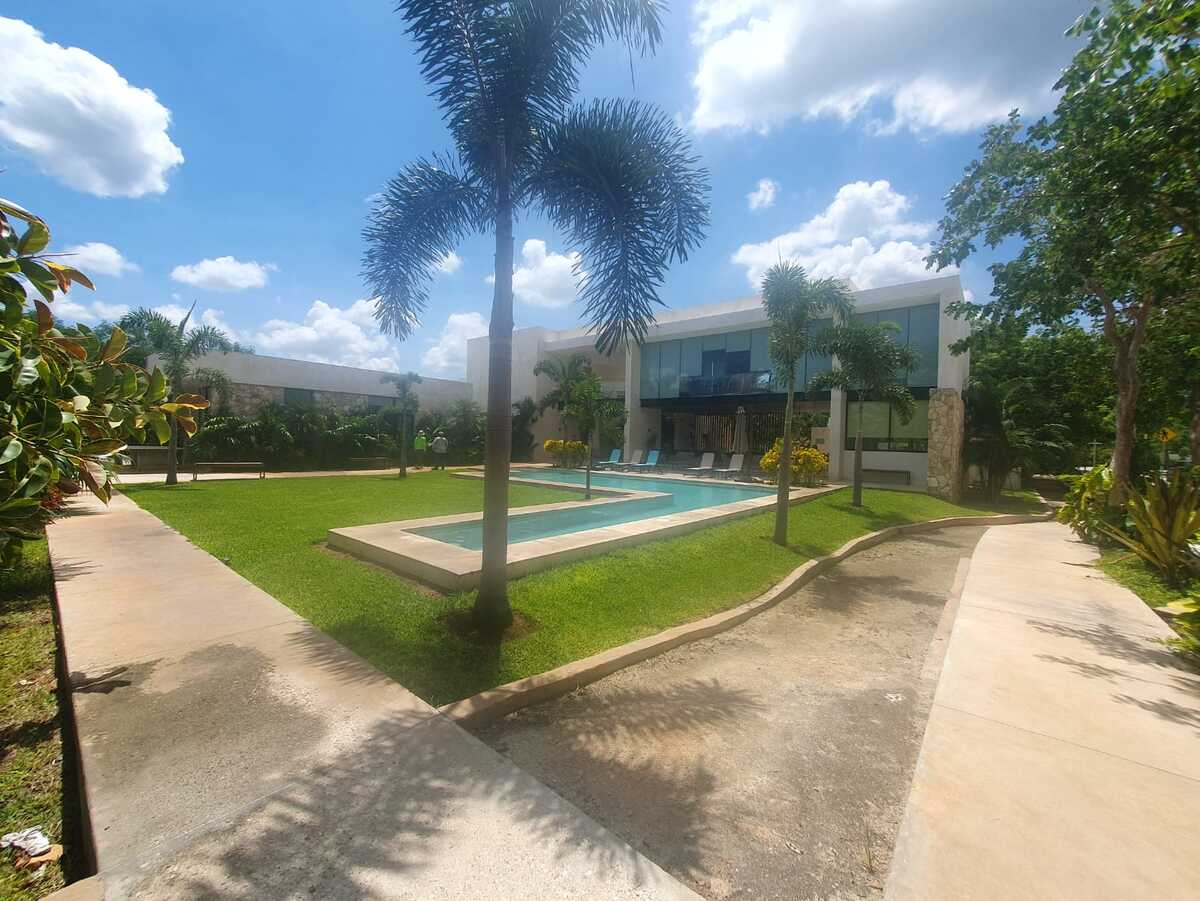 4 de 4