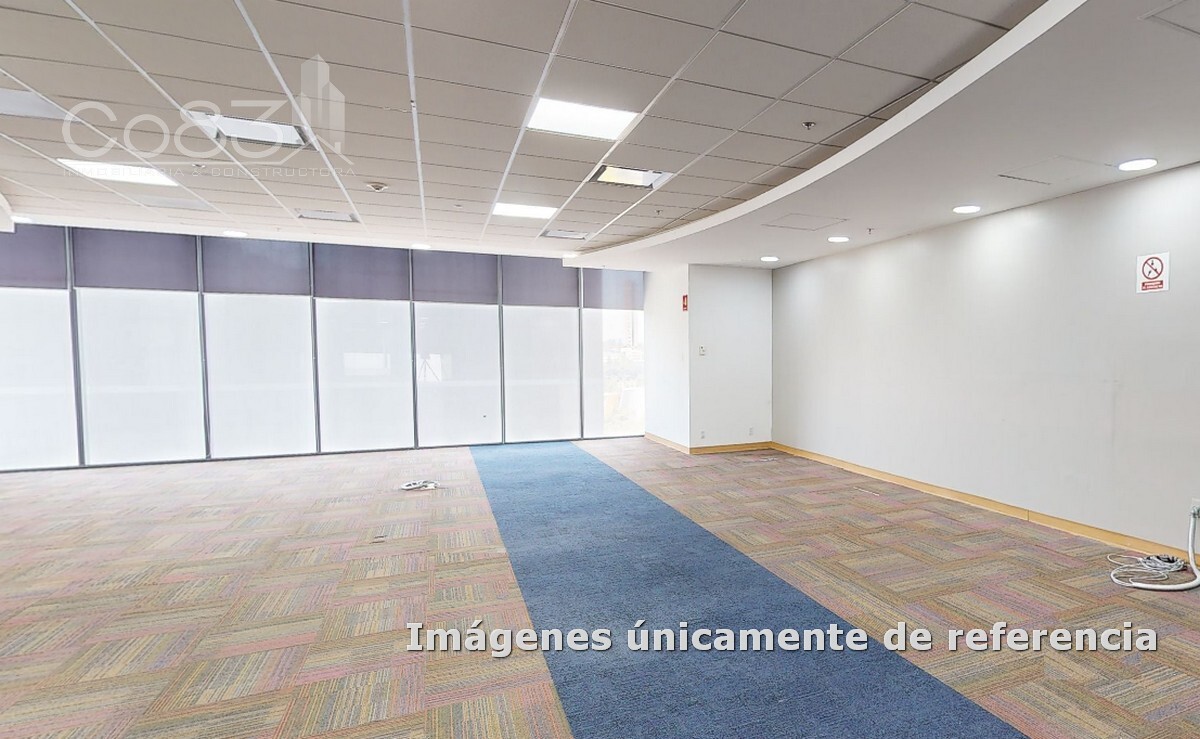 5 de 12