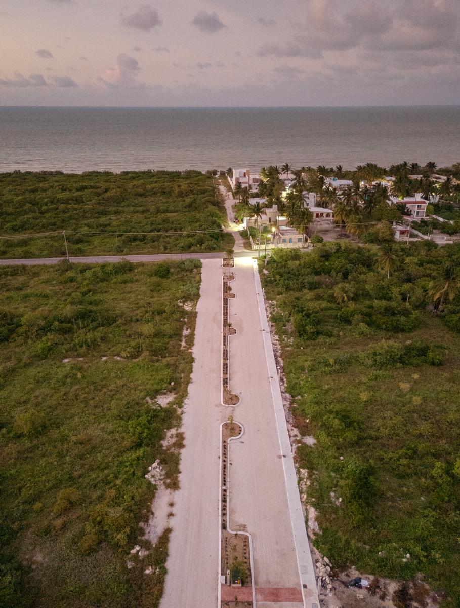 5 de 20