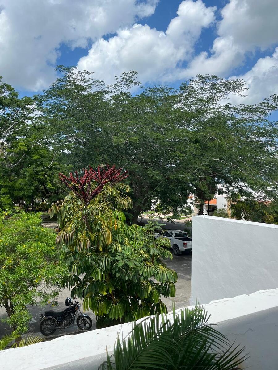 22 de 23