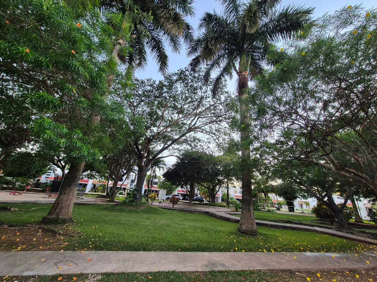 25 de 25