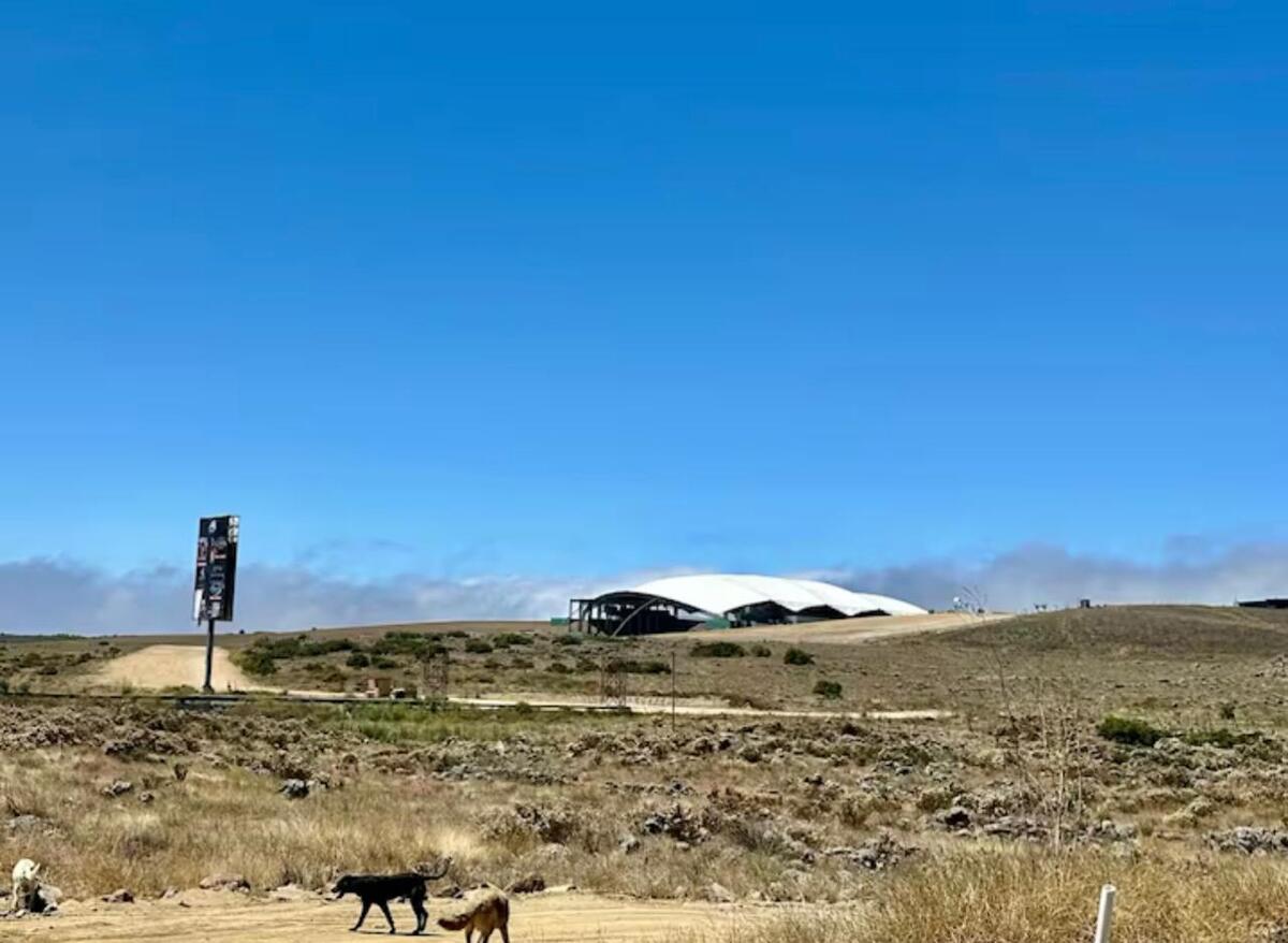 1 de 2