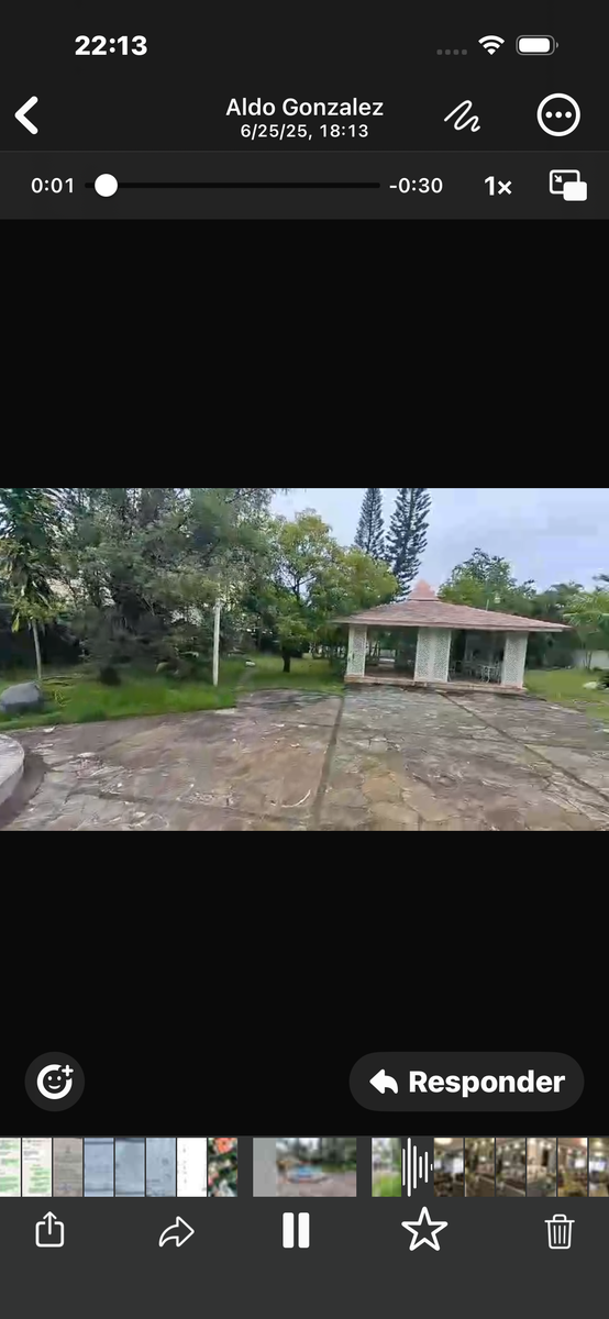 7 de 14