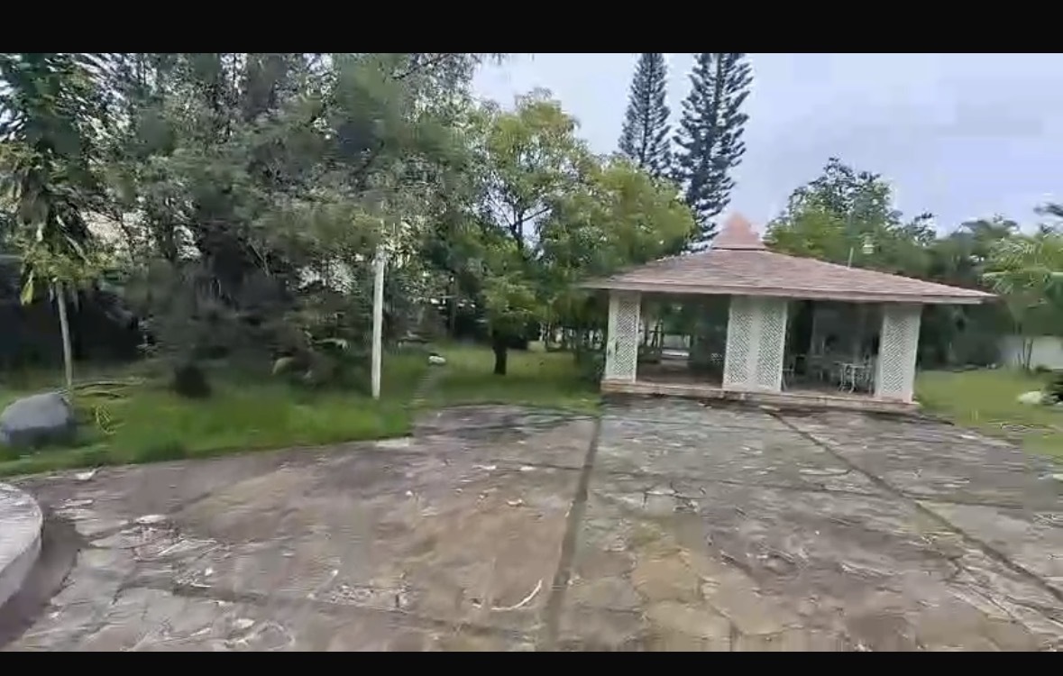 13 de 14