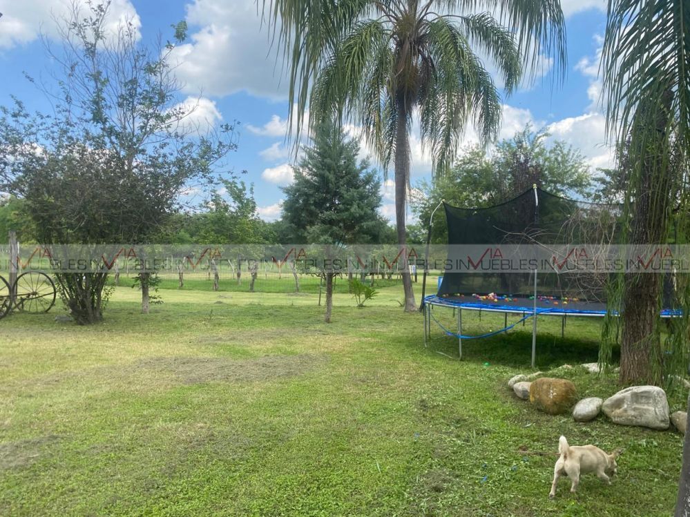 10 de 12