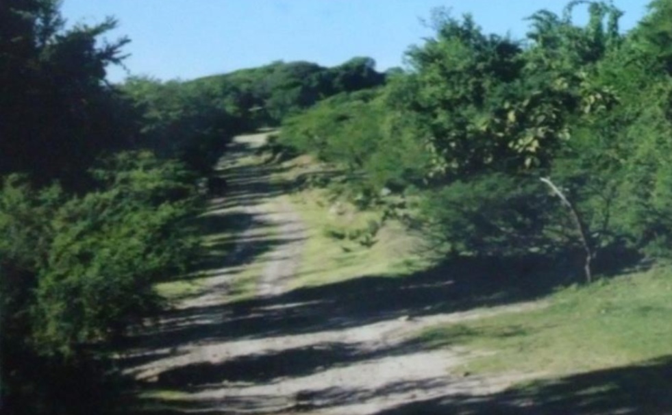 5 de 6