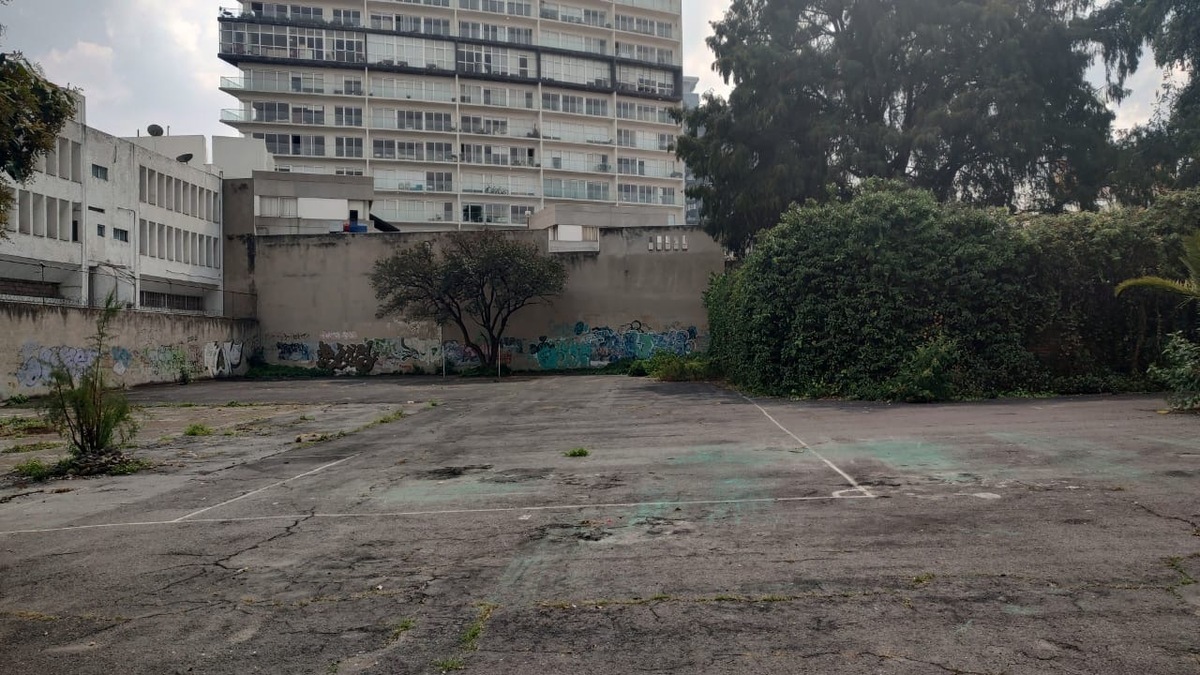 3 de 6