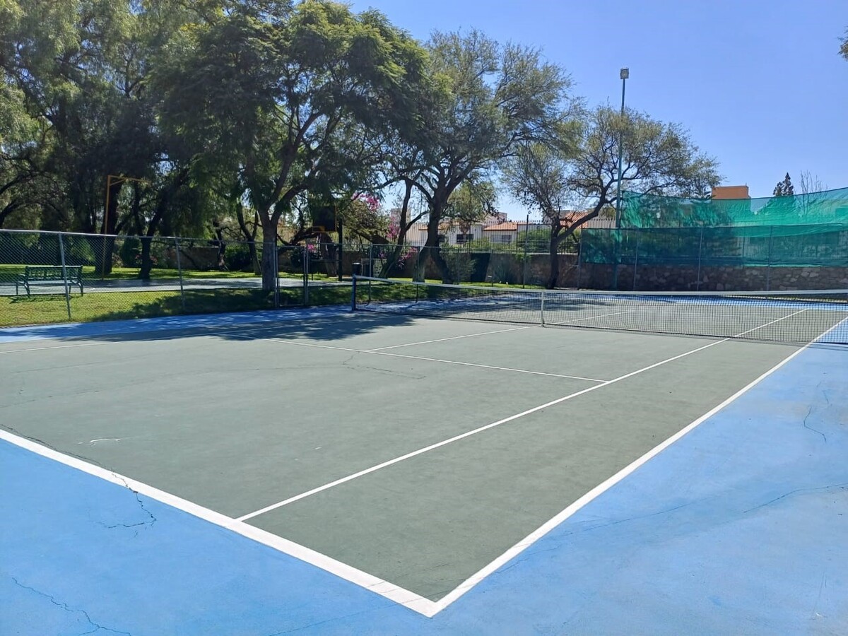 2 de 31