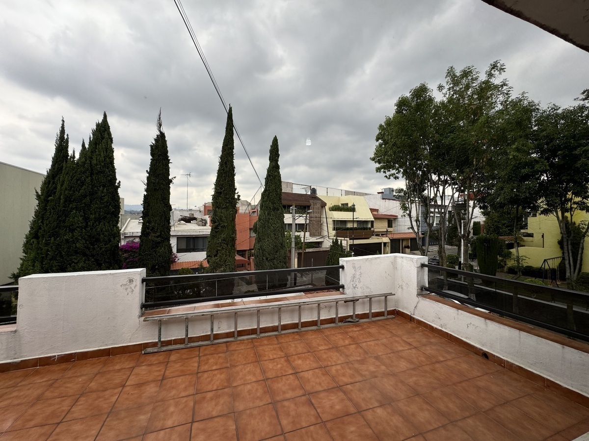 5 de 31